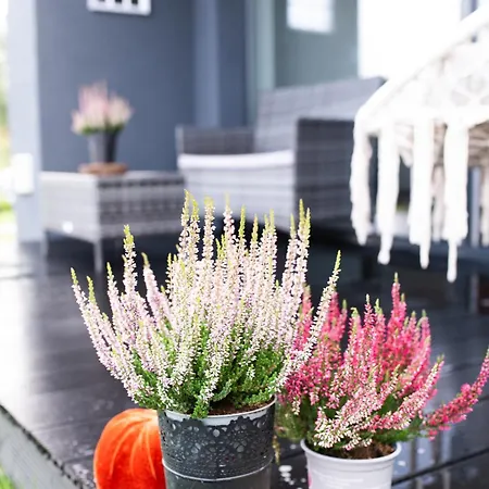 Stylove 2 Vakantiehuis *