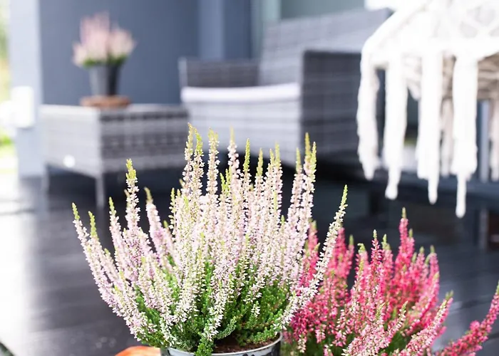 Stylove 2 Prázdninový dům *